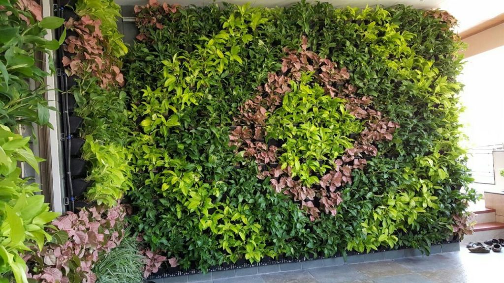 Vertical Gardening: A Flourishing Solution for Space-Constrained Cultivators