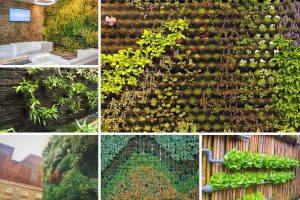 Vertical gardening