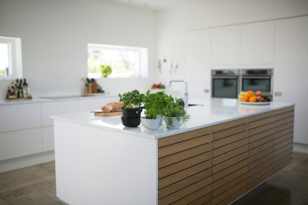 Kitchen island with plants 